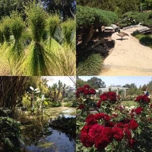 Huntington-Gardens-Collage