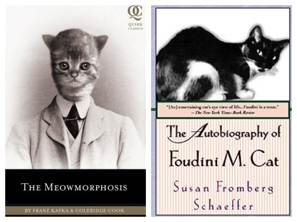 meowmorphosis autobiography