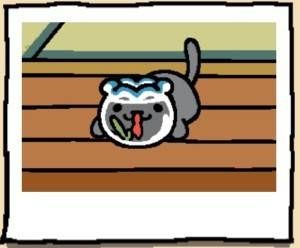 Neko Atsume Cat Shadow