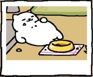 Neko Atsume Cat Tubbs