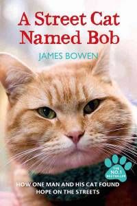 A Street Cat Named Bob by James Bowen