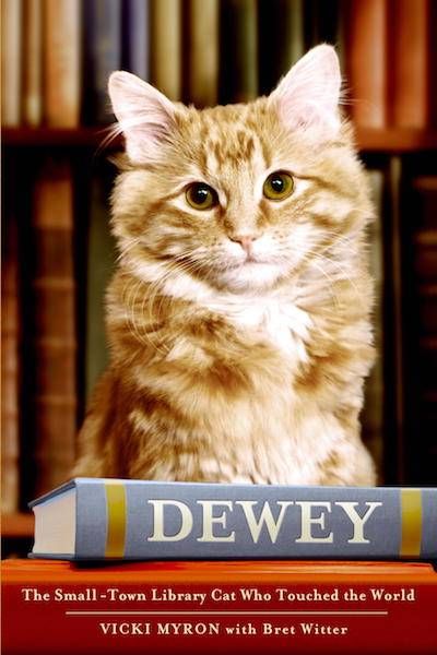 Dewey by Vicki Myron