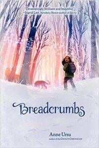 Cover of Breadcrumbs by Anne Ursu