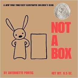 Not a Box by Antoinette Portis