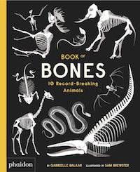 Book of Bones book cover in Best Nonfiction Picture Books | BookRiot.com