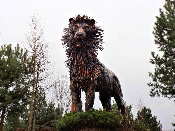 Statue of Aslan the lion in the C.S. Lewis Square, Belfast - the newest part of the C.S. Lewis trail in Belfast