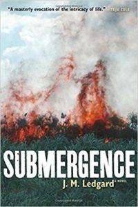 submergence