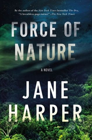 cover image: a forest with a night sky and the title letters in mist