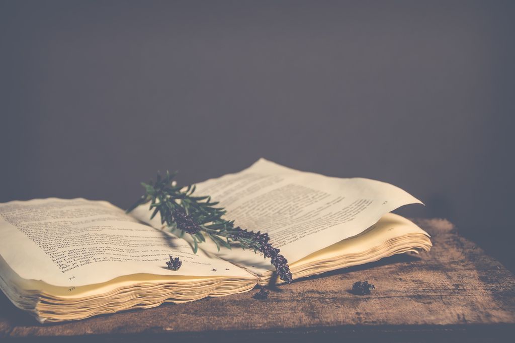 An old book with a sprig of rosemary