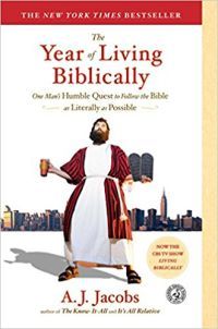 stunt memoirs - the year of living biblically