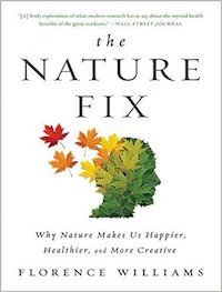 the nature fix