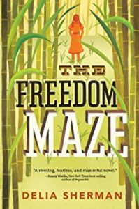 the freedom maze book cover