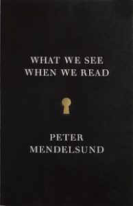 What We See When We Read by Peter Mendelsund