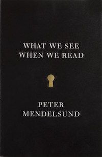 What We See When We Read by Peter Mendelsund