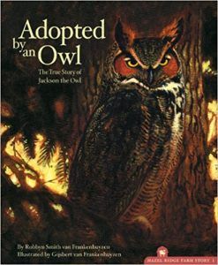 Adopted By An Owl by Robbyn Smith van Frankenhuyzen book cover owl books