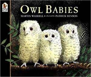 Owl Babies book cover