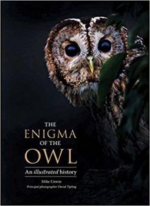 The Enigma of an Owl by Mike Unwin book cover