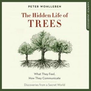 The Hidden Life of Trees by Peter Wohlleben audiobook cover