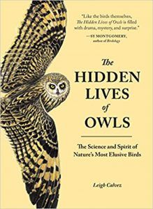 The Hidden Lives of Owls by Leigh Calvez owl books