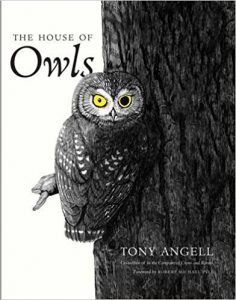 The House of Owls by Tony Angell