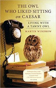 The Owl Who Liked Sitting on Caesar by Martin Windrow