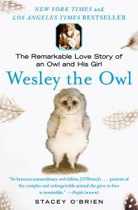 Wesley the Owl by Stacy O'Brien book cover