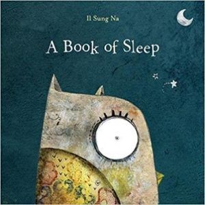 a book of sleep by il sung na book cover owl books