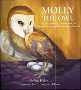 MOLLY THE OWL: THE TRUE STORY OF A COMMON BARN OWL THAT ENDS UP BEING NOT SO COMMON AFTER ALL BY ERIC BLEHM book cover