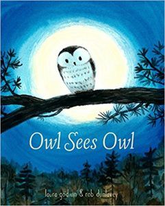 Owl Sees Owl by Laura Godwin book cover