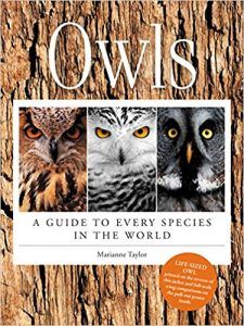 Owls: A Guide To Every Species In The World by Marianne Taylor book cover