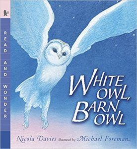 WHITE OWL, BARN OWL BY NICOLA DAVIES book cover