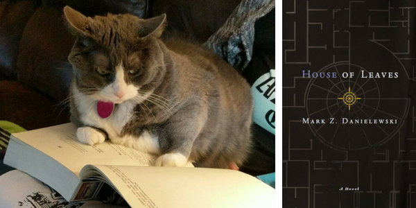 My cat reviews books like House of Leaves by Mark Z. Danielewski 