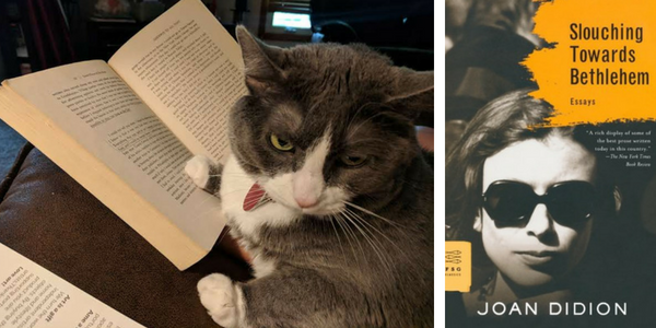 My cat reviews Slouching Towards Bethlehem by Joan Didion