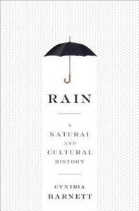 rain book cover