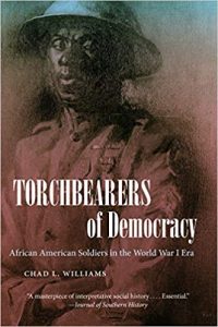 Torchbearers of Democracy Book Cover