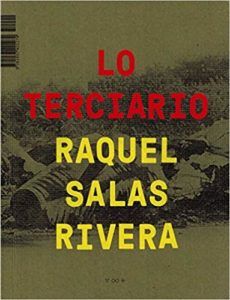 lo-terciario-raquel-salas-rivera