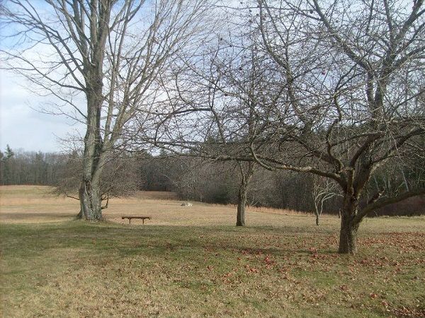 Robert Frost Farm Field