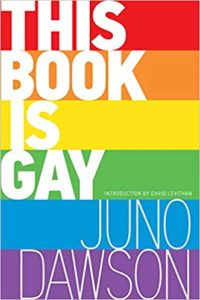 This Book is Gay Book Cover