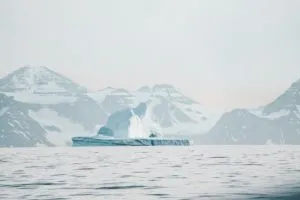 Iceberg