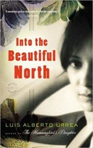 Into the Beautiful North Book Cover