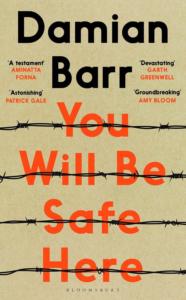 cover of You Will Be Safe Here by Damian Barr