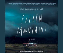 Fallen Mountains audiobook cover image
