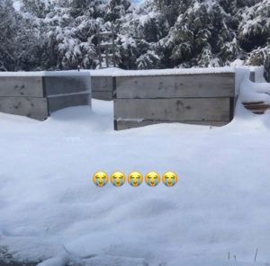 Raised Bed Garden Covered in Snow