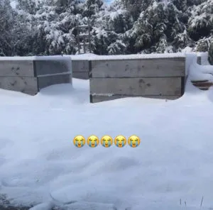 Raised Bed Garden Covered in Snow