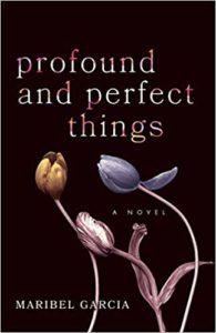 Profound and Perfect Things Book Cover