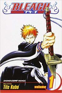 Bleach volume 1