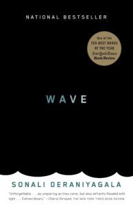 Wave book cover