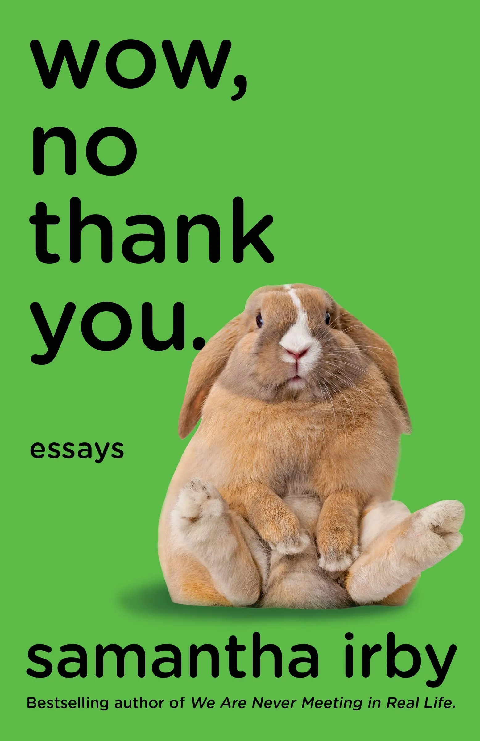 Wow No Thank You cover
