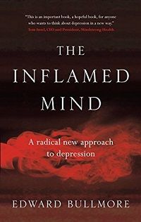 The Inflamed Mind