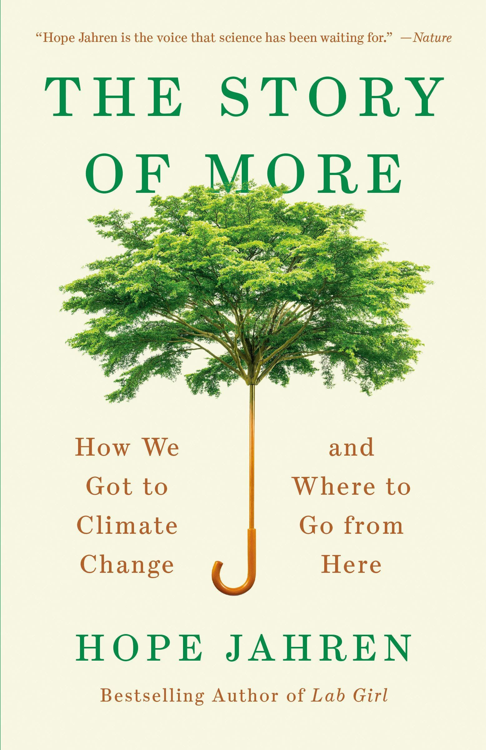 Book cover of The Story of More